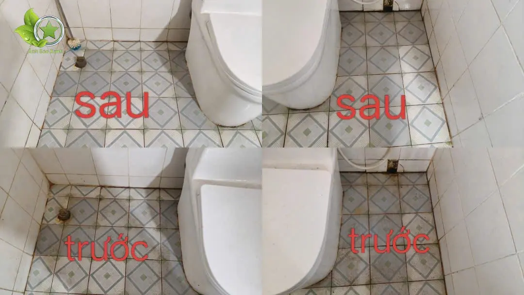 Hình ảnh toilet trước và sau khi vệ sinh thực tế tại nhà